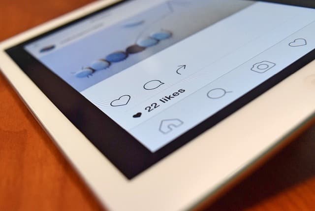 Snapinsta — Instagram Photo and Video Downloader